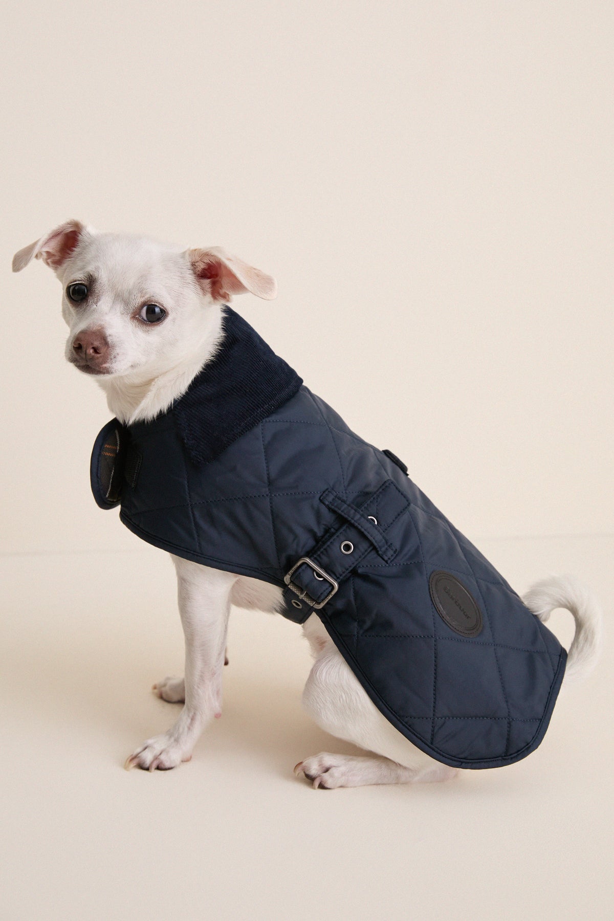 Navy Quilted Dog Coat