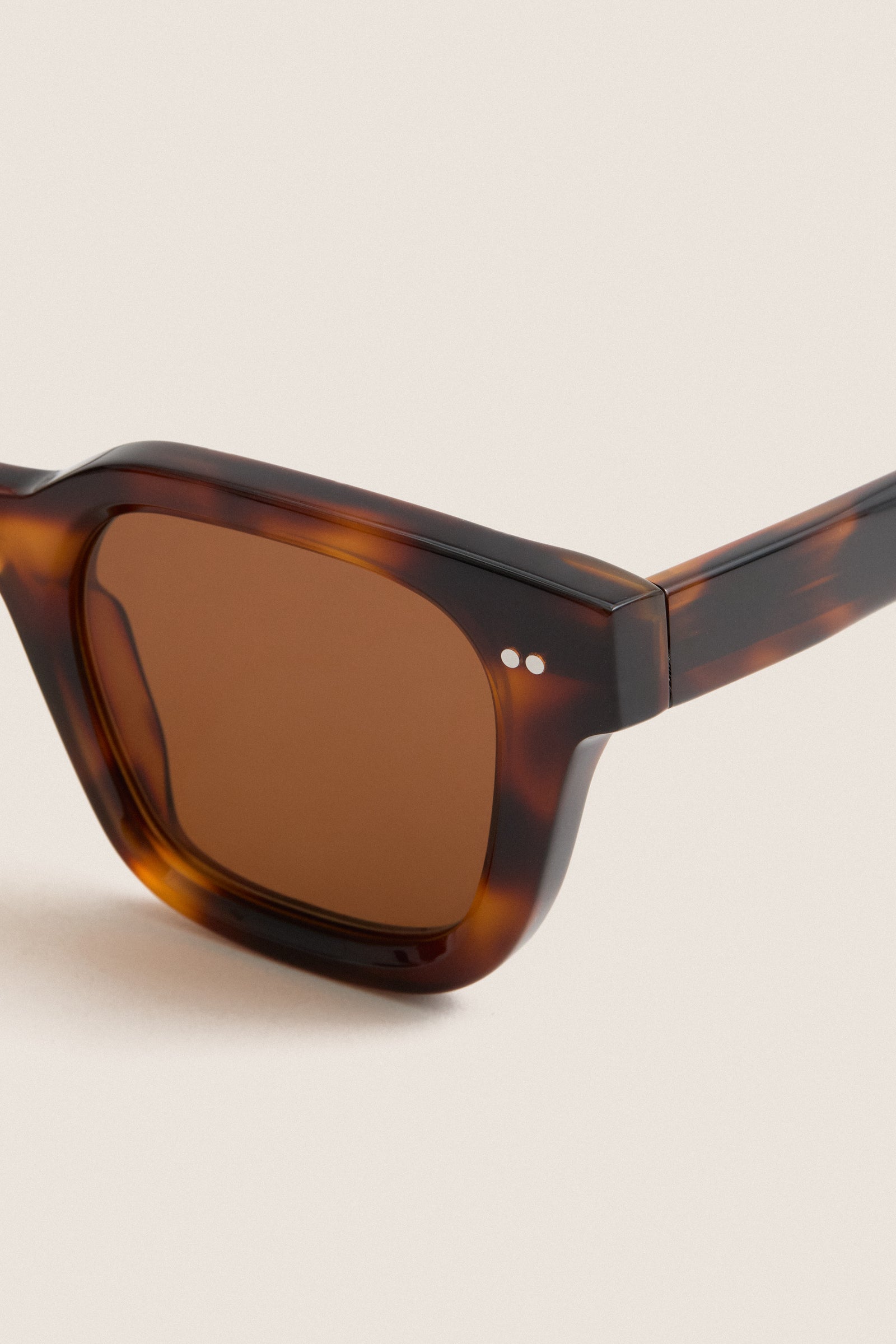 04 Tortoise Sunglasses