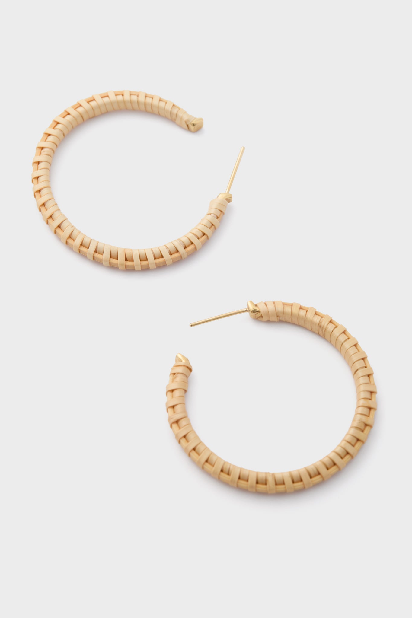 The Hoop Earrings