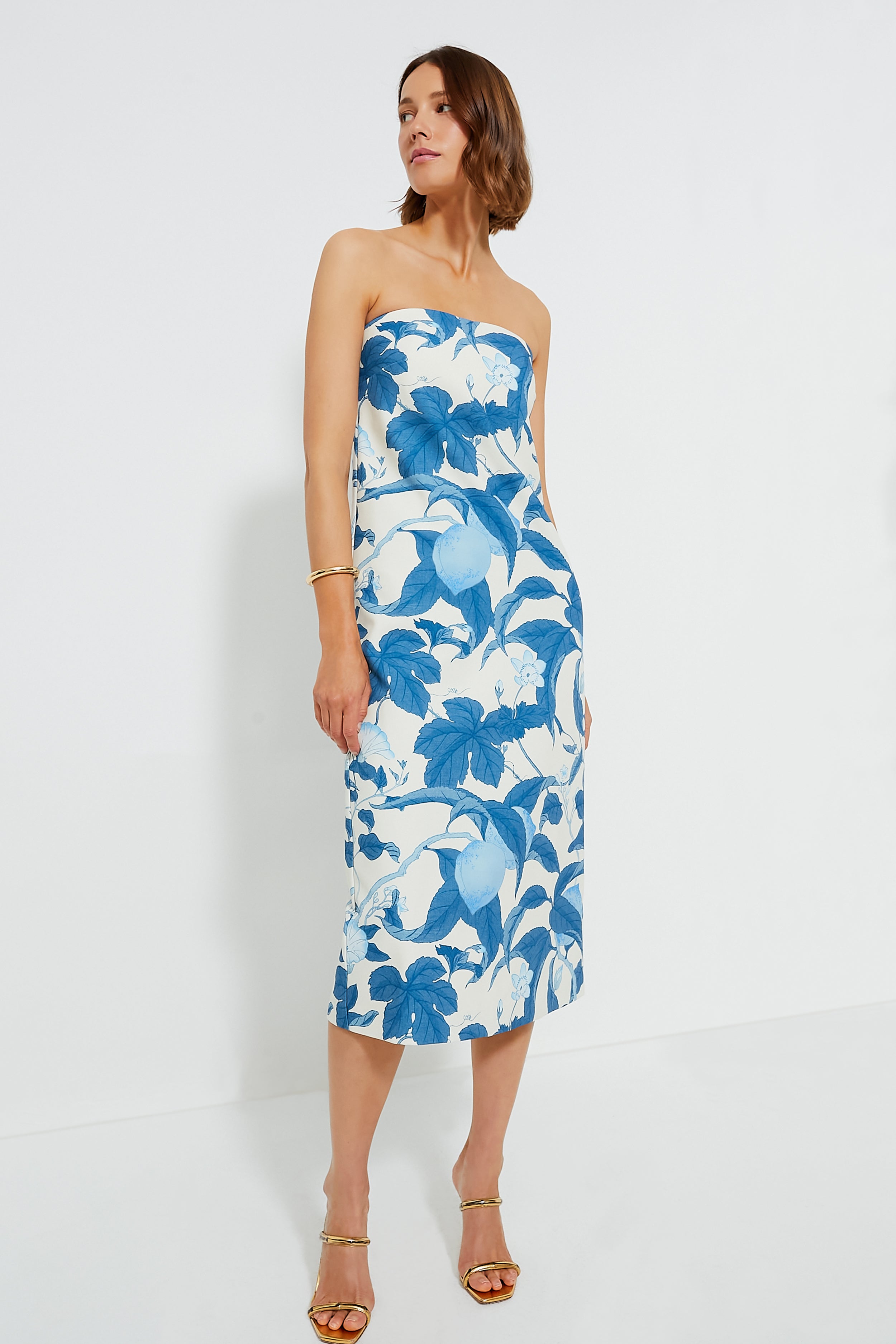 花 Blue Marine Bonnie Blossom Marin Dress | Tuckernuck