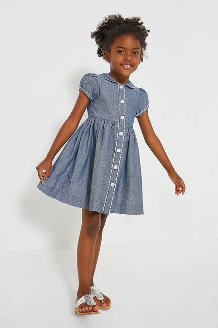 Chambray Button Front Dress