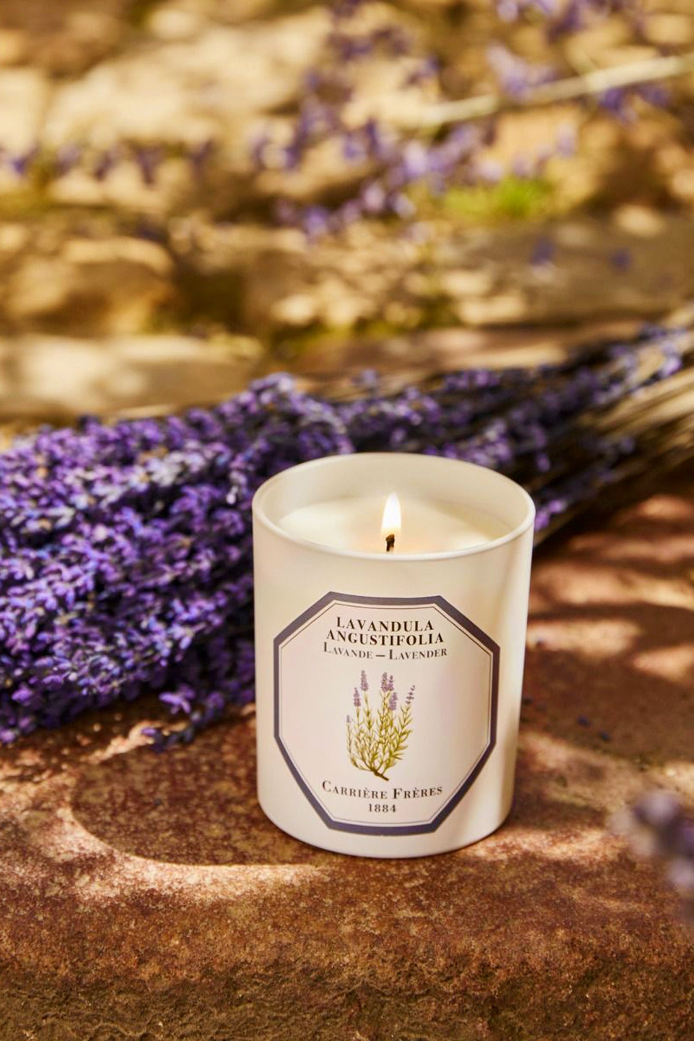 Classic Lavender Candle by Carrière Frères, elegantly lit on stone, paired with dried lavender sprigs. Effortless, high-end fragrance with 40-45 hours burn time. Fun, luxurious home aroma.