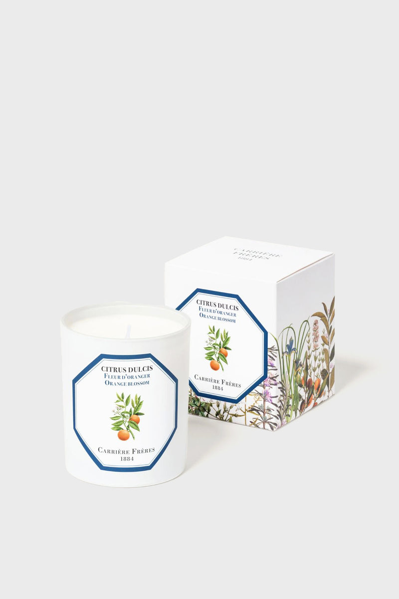 A white Carrière Frères CITRUS DULCIS glass candle, crafted from vegetable wax, sits beside its decorative botanical box, offering a luxurious orange blossom scent.