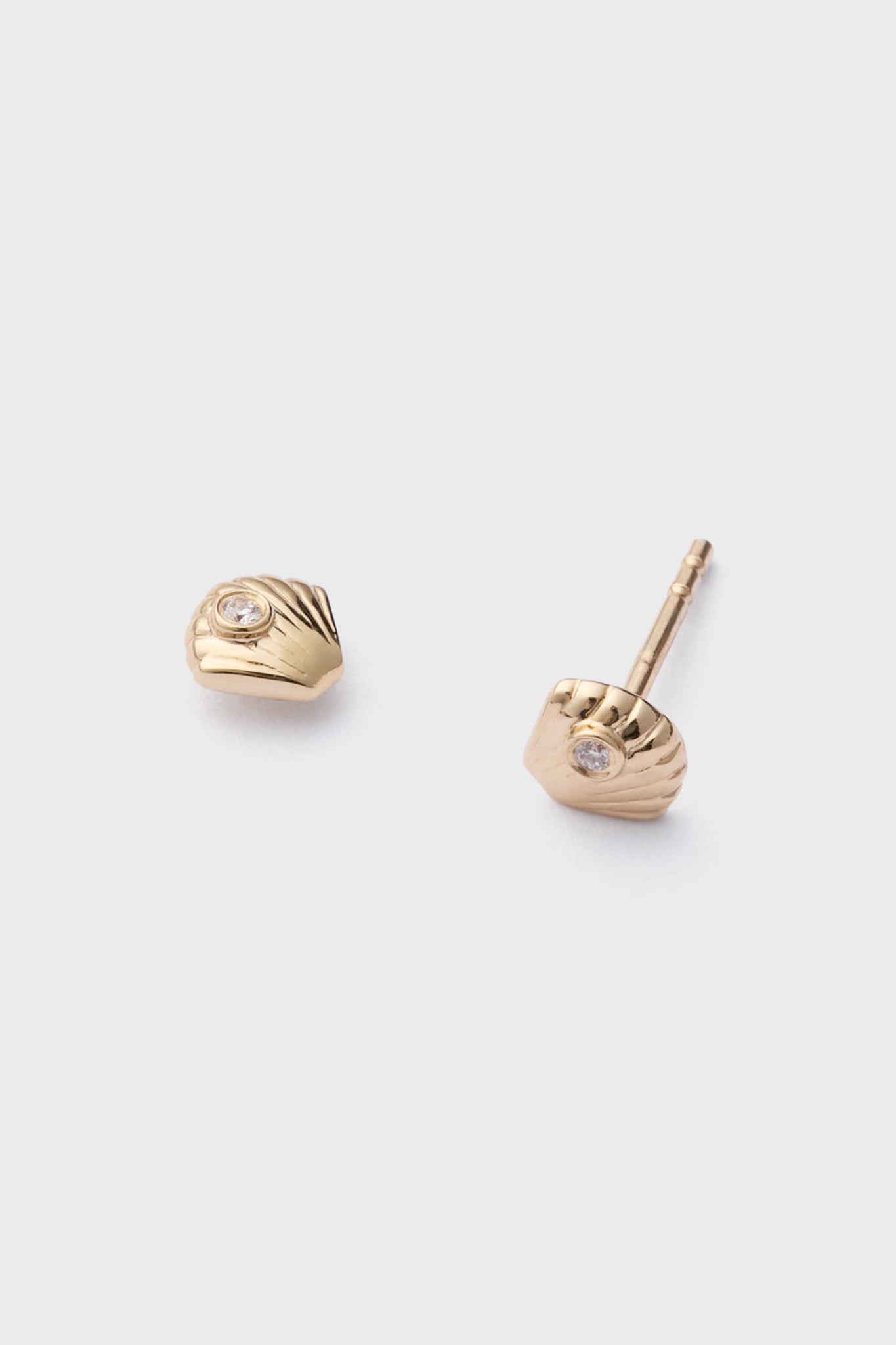 Clam Shell Stud Earrings