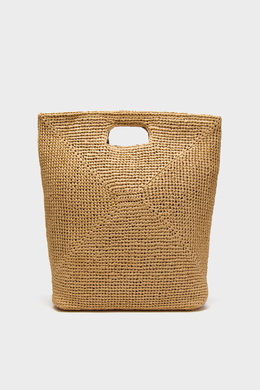 Desert Palm Rori Bag