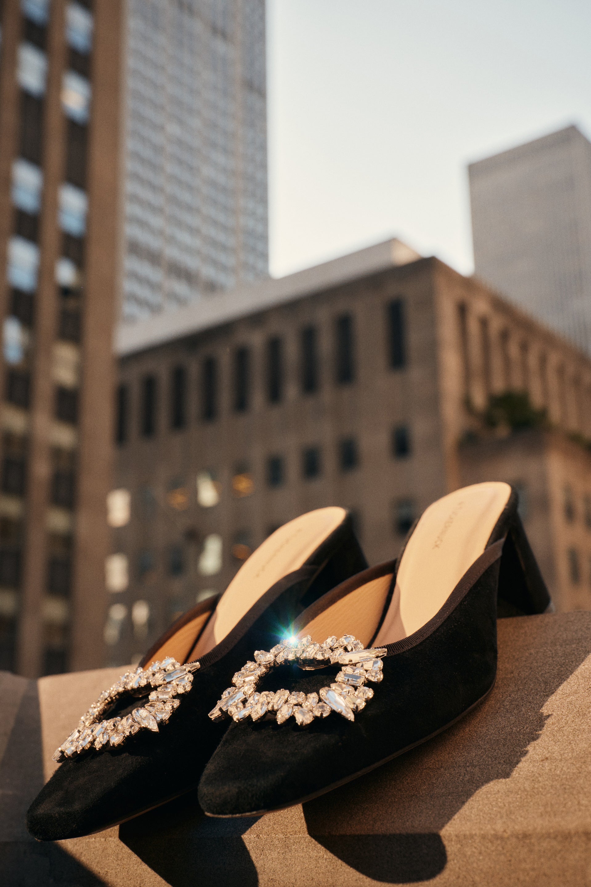 Crystal Shoe Clips Set