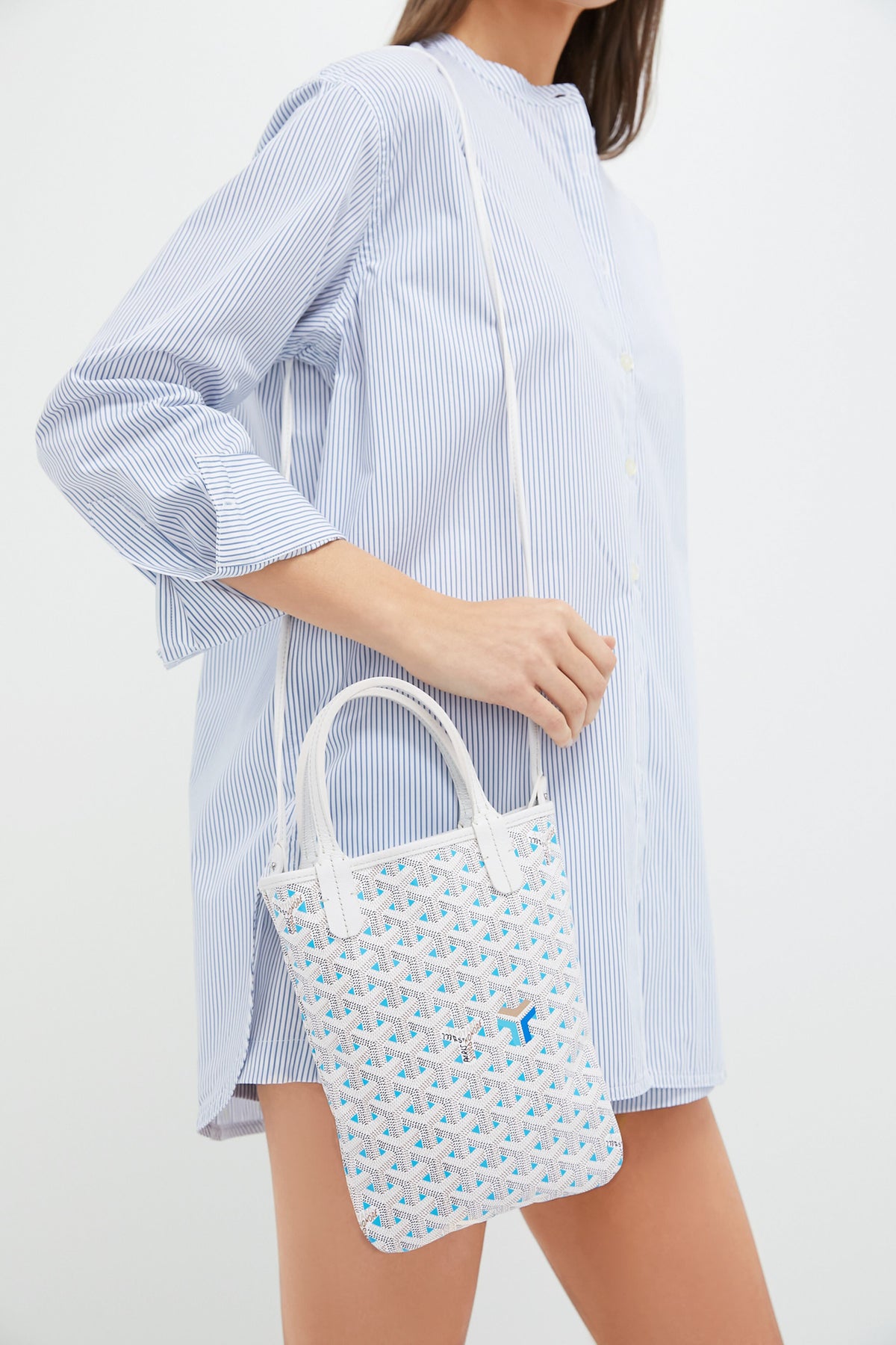 GOYARD Claire Voie Coated Canvas Mini Poitiers Tote