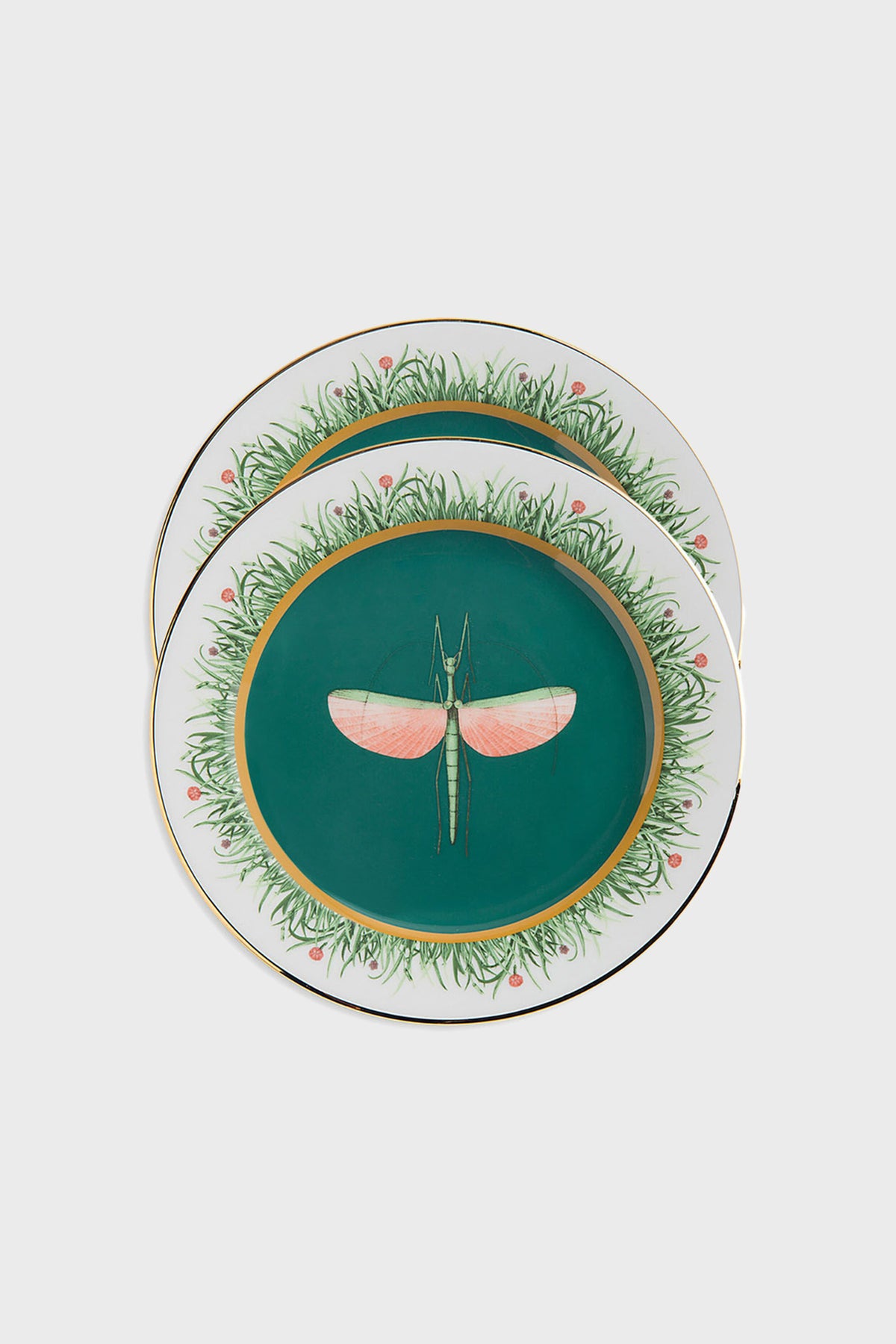 Libellula Dinner Plates (Set of 2)