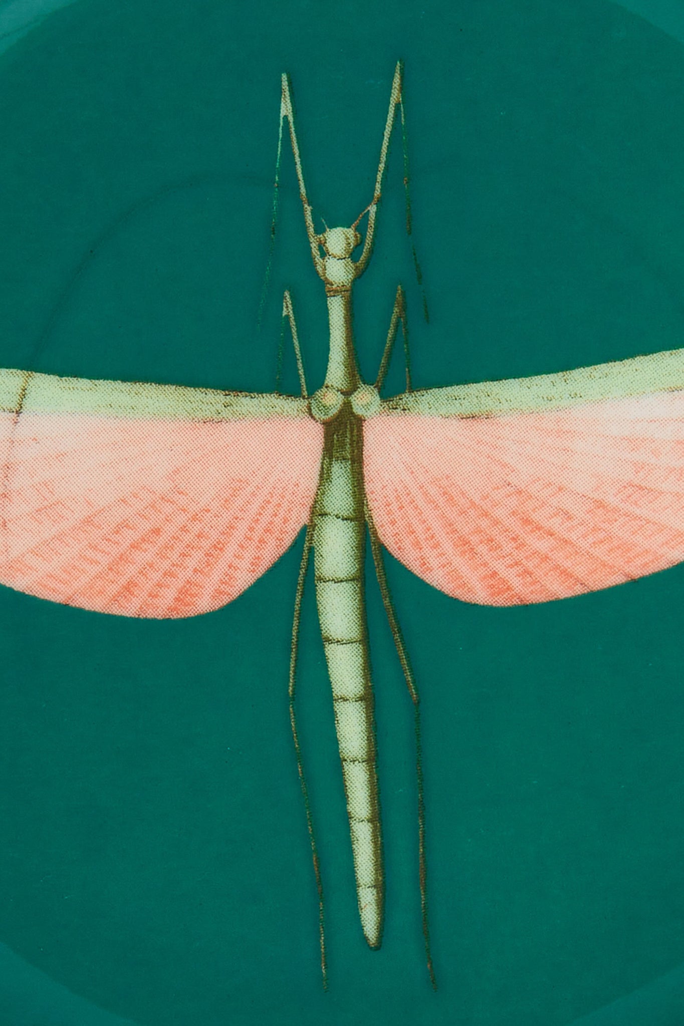 Libellula Mini Plate