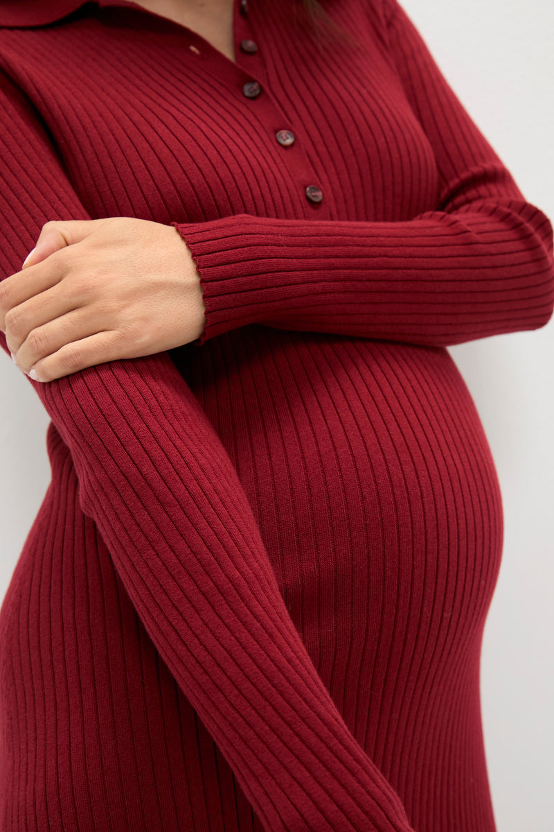 Cranberry Averie Polo Rib Sweater Dress