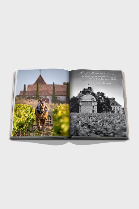 Wine & Travel France