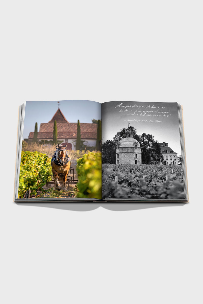 Wine & Travel France