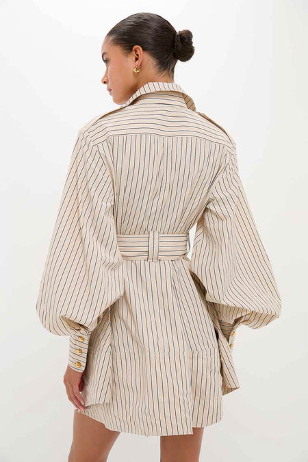Almond Stripe Memento Utility Mini Dress