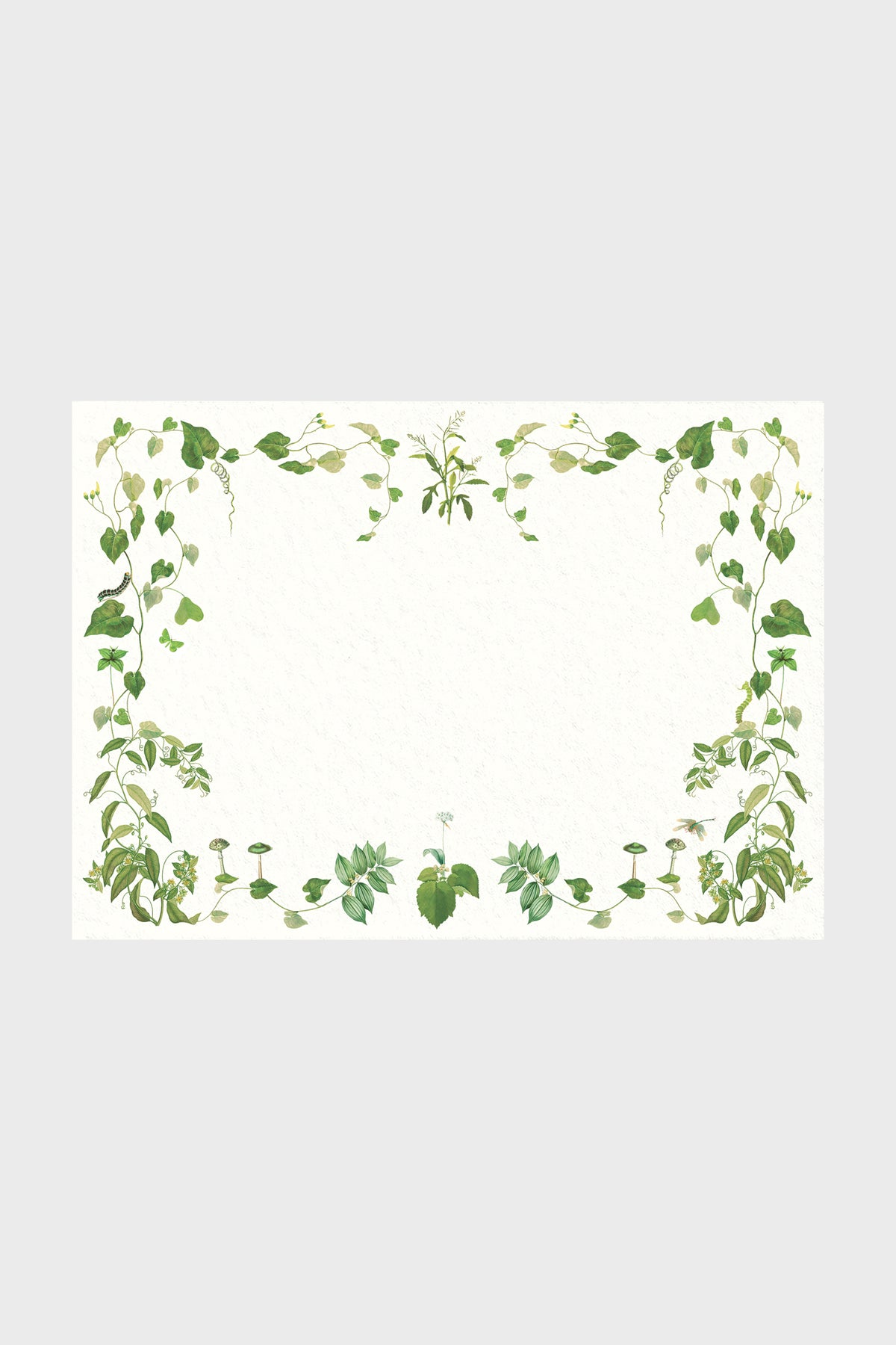 Selva Stationery