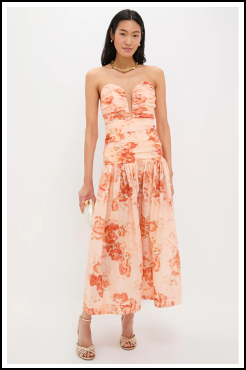 tuckernuck fall wedding guest dresses Black Tie Wedding Guest Dresses & Formal Gowns