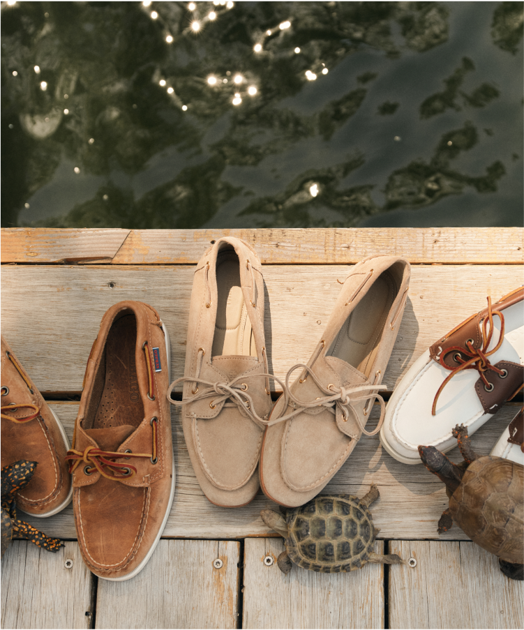 Three pairs of boat shoes on the edge of a dock with turtles. 