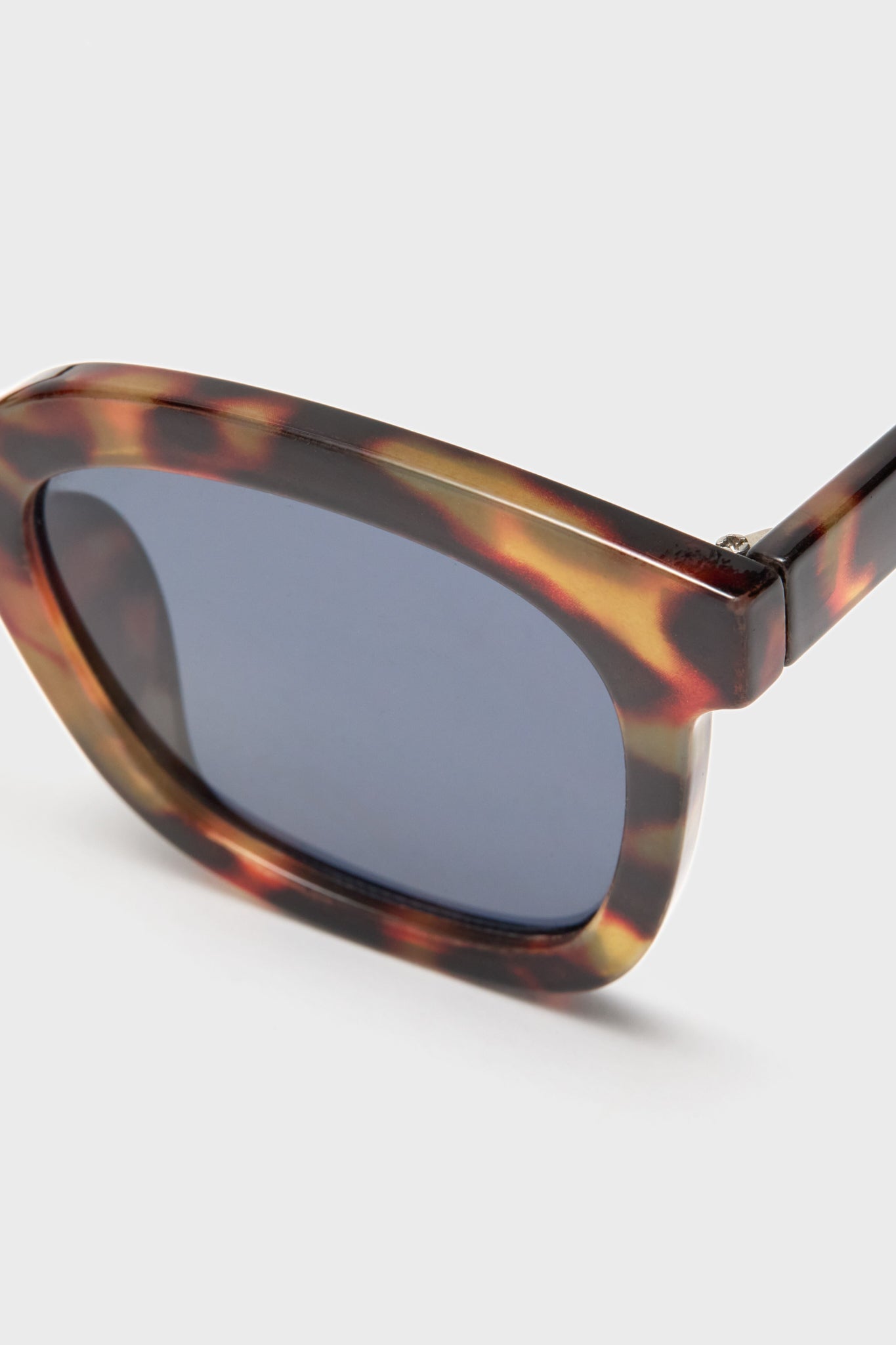 Exclusive Tortoise Walker Sunglasses