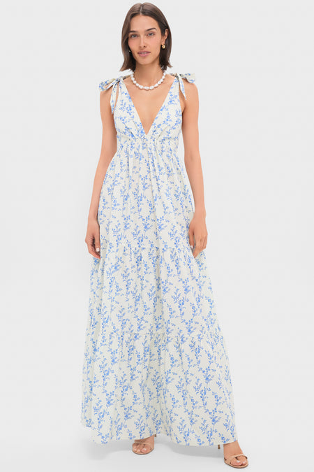 Floral Toile Betsy Dress