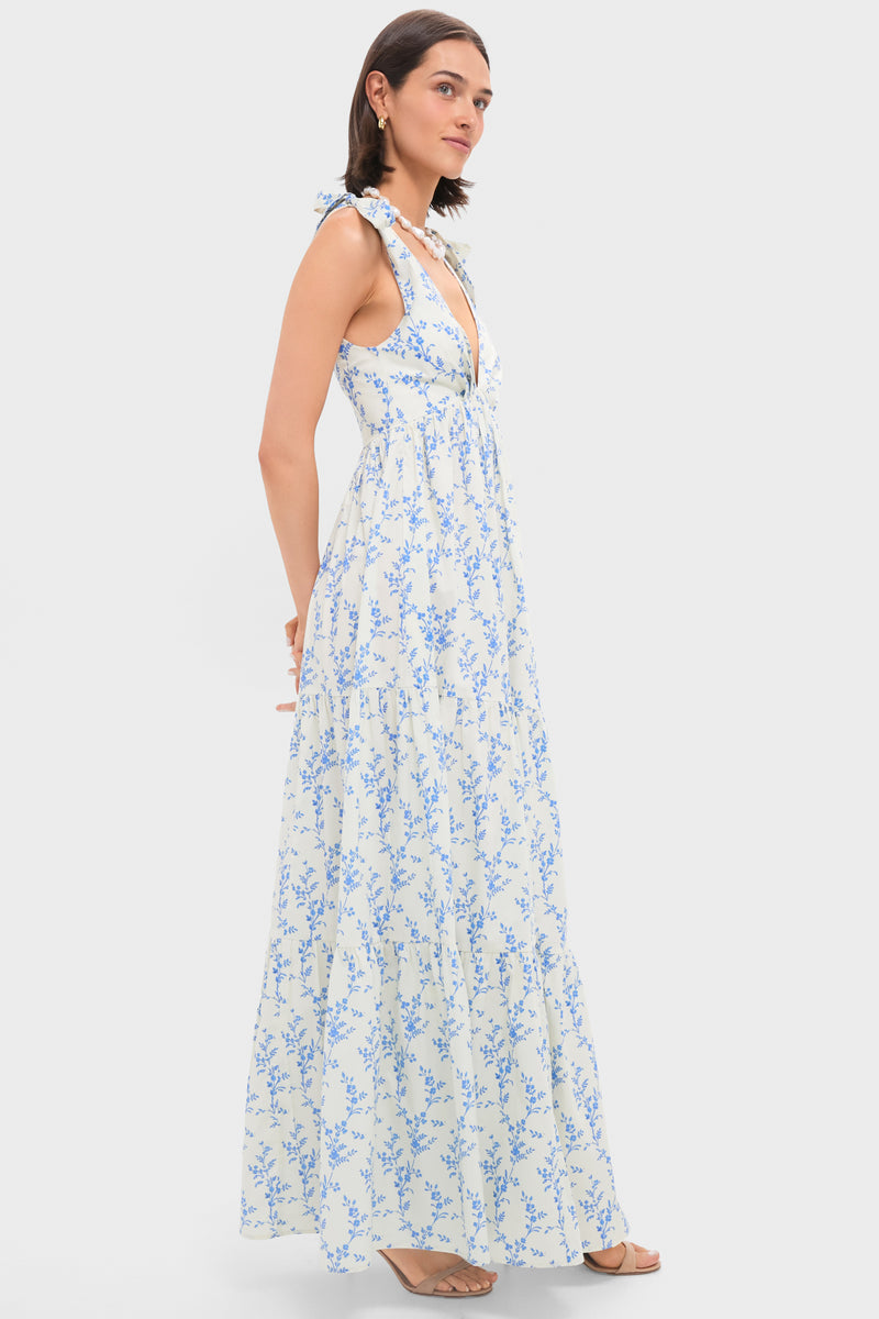 Floral Toile Betsy Dress