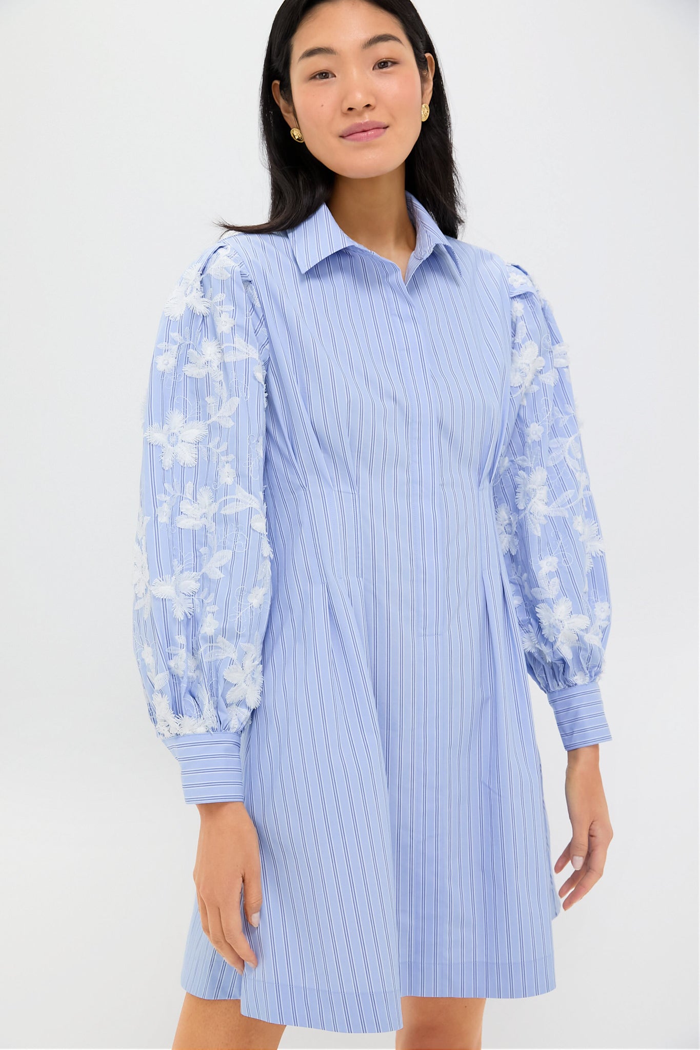 Blue Stripe Embroidery Mini Corinne Dress | Tuckernuck
