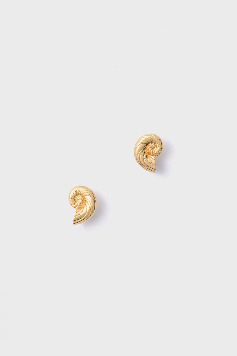 Gold Nautilus Shell Stud Earrings
