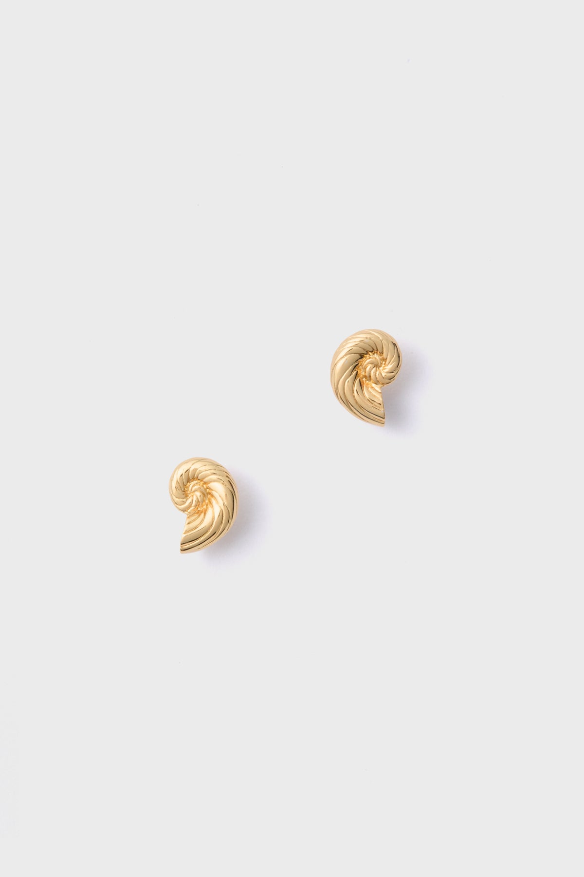 Gold Nautilus Shell Stud Earrings