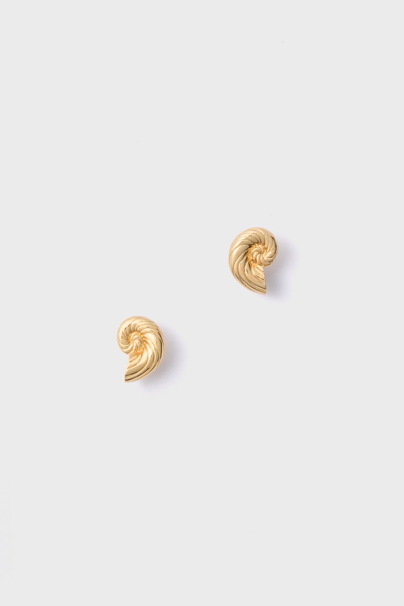 Gold Nautilus Shell Stud Earrings