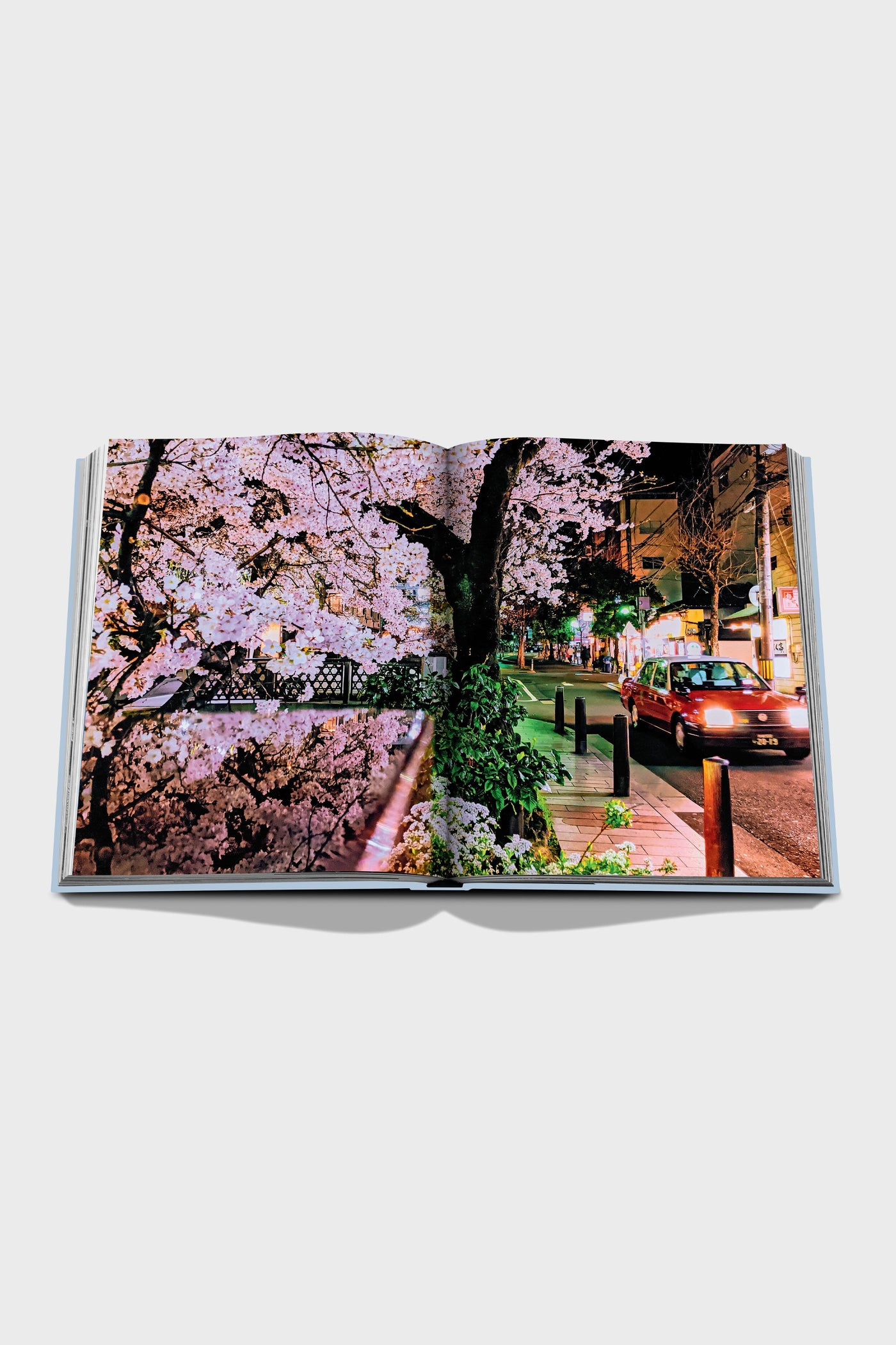 Kyoto Serenity