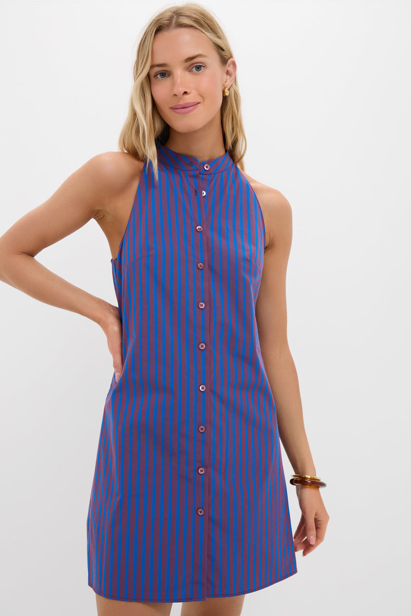 Atlas Stripe Shirley Mini Dress