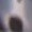 A blurry image of a white cat sitting upright, facing the camera, its dark nose and eyes visible.