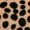 Close-up of a tan surface with irregular black spots, capturing the distinctive spotted fur pattern of a leopard.