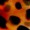 Close-up of an orange surface with irregular black spots, resembling the unique pattern found on a ladybug’s shell.