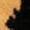 A dark, irregular shadow stretches across a textured, light brown surface, emphasizing its unique pattern.