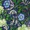 P31398-SWATCH--IMG_30-1749704751.png
