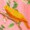 A yellow bird is perched on a branch with green leaves, surrounded by soft pink hues.