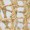 A close-up view showcases several dried pasta pieces, possibly penne, scattered in an overlapping pattern, highlighting their unique texture.