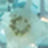 A blurry, close-up image featuring indistinct shapes and colors in blue, green, and white tones. The details are not clearly discernible.