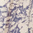 Blue fabric with an off-white floral and leaf pattern. The material appears to be slightly gathered or pleated.
