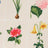 A grid of botanical illustrations shows various flowers, including a pink blossom, a yellow bell-shaped flower, a pink hydrangea, and a flower bulb with green leaves.