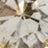 A close-up of a faceted, transparent crystal reflecting light, revealing sharp edges, flat surfaces, and intricate details.