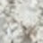 A close-up image showing a blurry, gray and white textured surface with indistinct patterns and abstract details visible.