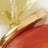 Close-up image of a gold ring on top of a reddish-brown circular object with a light yellow translucent material in the background.