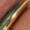 A close-up of a metallic object with a shiny gold and greenish surface, possibly a gemstone ring or jewelry piece, highlighted in soft focus.