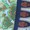 A close-up of a map next to a blue vertical strip featuring four red geometric designs in a row.