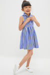 Sleeveless Cotton Striped Shirt Dress