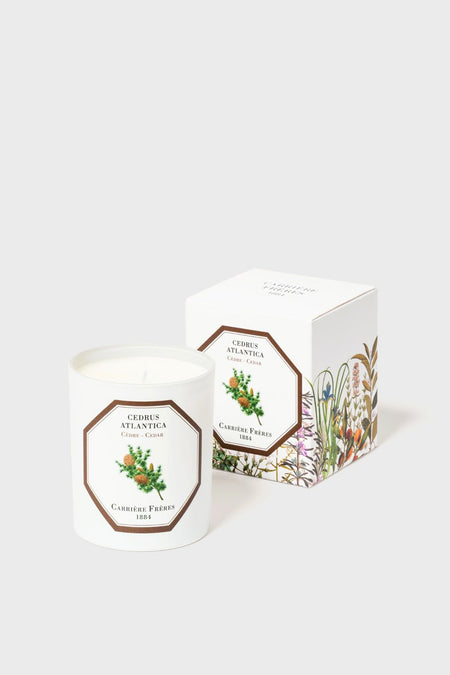 A white vegetable wax Carrière Frères candle in a glass with botanical label sits beside its floral box marked “Cedrus Atlantica, Carrière Frères.” Luxurious French-made candle.