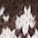 Close-up of a pattern featuring white, abstract shapes on a dark brown surface.