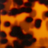 Close-up of a tortoiseshell pattern featuring mottled black and amber-brown spots on a translucent orange surface.