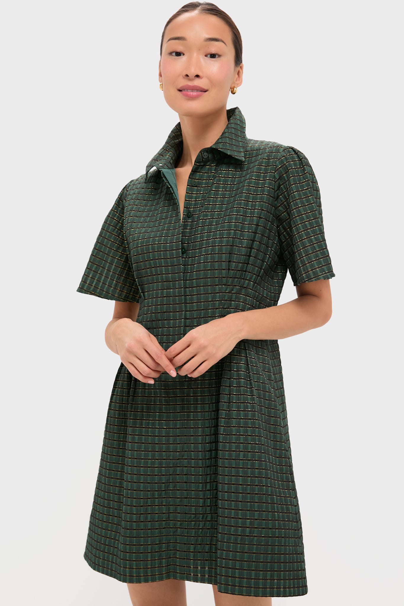 embroidered floral green gingham mini delaney dress Green Gingham Mini Dress main image 0