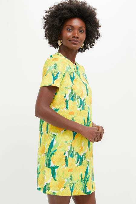 Zesty Mini Swing Dress